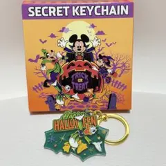 ディズニーストア　ハロウィン　ランダムチャーム　ドナルド　キーホルダー