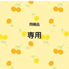 専用同梱おまとめ品