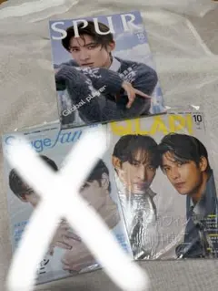 向井康二表紙 SPUR QLAP 2冊セット