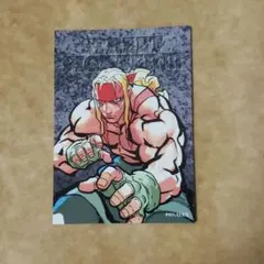 アレックス ブロマイド 購入特典 ストリートファイター6 あみあみ スト