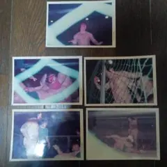 プロレス写真セット 1977年撮影 5枚