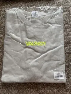 ⭐️Vaundy ブロックロゴ Tシャツ Lサイズ FUSION ミント - メルカリ