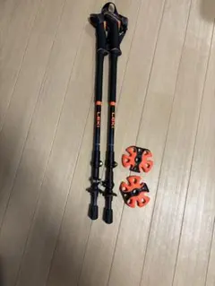 Item thumbnail for item 6e702549-f887-4fa1-8c99-8ccb62cd6a43