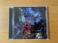 Davinci 極光帯モーメント メルカリ
