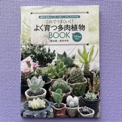 Item thumbnail for item e1cb650e-a50d-4987-aad8-b76fc823561c