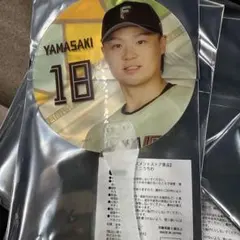 北海道日本ハムファイターズ 山崎福也 ミニうちわのサムネイル