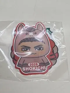 EXILE　SHOKICHI　ステッカー　午