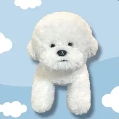 数量限定商品ぬいぐるみ JUMINE MONGGU ぬいぐるみ作家 大きいサイズ