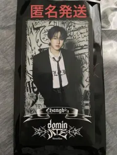 straykids ソウルコンdominATE スペシャルトレカ　チャンビン