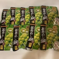 忍者めし鋼　マスカット味 9個のサムネイル
