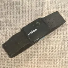 Wahoo TICKR FIT Bluetooth/ANT + 心拍計のサムネイル