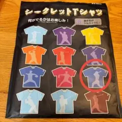 楽天イーグルス シークレットTシャツ 岡島豪郎