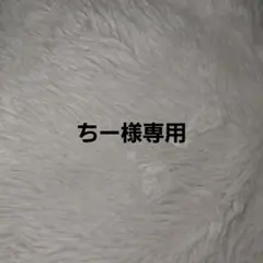 ちー様専用