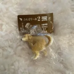 ふんばりーぬ シークレット