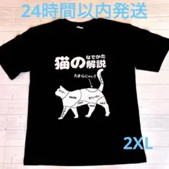 猫 Tシャツ