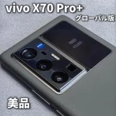 タイムセール vivo X70 Pro+ グローバル版 V2114 2025年最新】x70 pro vivoの人気アイテム - メルカリ
