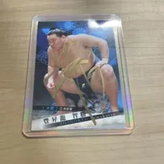 2026年最新】豊昇龍 サインの人気アイテム - メルカリ