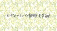 ⑲ がね〜しゃ様専用出品