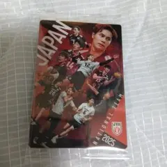 バレーボール ツインウエハース カード 集合B