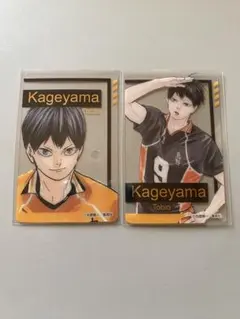 ハイキュー ファンパーク 箔押しクリアカードコレクション 影山飛雄 2枚