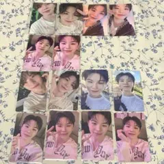 SEVENTEEN ウジ 会場限定 特典 セルカセット