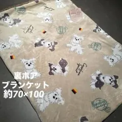 シュナウザー 布団・毛布