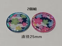 Item thumbnail for item 6a15179e-63e8-416f-aefd-0964c16df88d