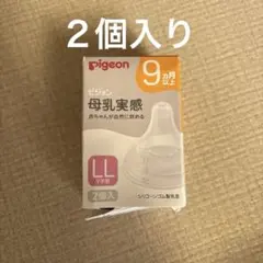 Item thumbnail for item 74fae840-a710-48b7-a029-8107acba8986