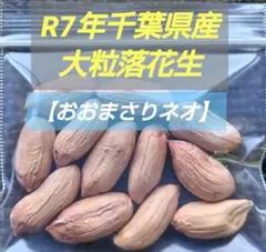 2026年最新】おおまさりネオ 種の人気アイテム - メルカリ