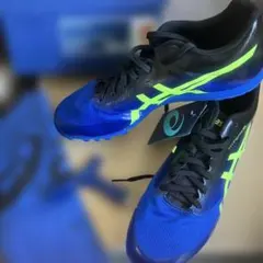 Item thumbnail for item 43f2462a-ac3c-4d93-8199-c35a30f72f8d