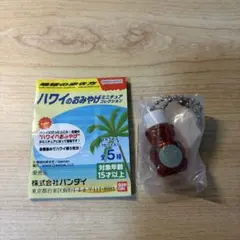 ハワイのおみやげ　ミニチュアコレクション