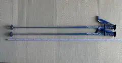 フィッシャー　FISCHER スキー ストック ポール　約118cm