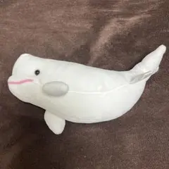 2026年最新】名古屋水族館 ベルーガの人気アイテム - メルカリ