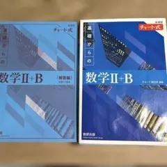 基礎からの数学Ⅱ+B 教科書と解答編