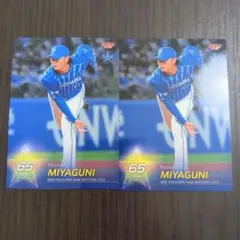 野球カード DeNA 宮國椋丞 まとめ売り