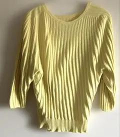 Item thumbnail for item 07e48c06-a0df-47f4-8626-e695970ad31d