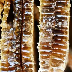 Item thumbnail for item c0e8bc8d-0edc-435e-8436-1ae5cd9e19d7