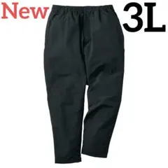 Item thumbnail for item 9e334450-55ab-44b6-8ab9-333e12a713e4