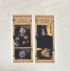 ハリー・ポッター クリアフォトグレイコレクション　ロン　スネイプ