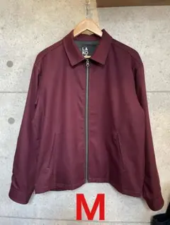 Item thumbnail for item b3ffa49a-53b3-4b7b-a236-fcd2518a771c