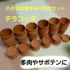 小さな素焼き鉢＆受皿29セット テラコッタ 多肉植物 サボテン★送料込みのサムネイル