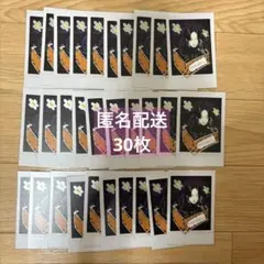 &TEAM Back to Life FUMA フウマ チェキ トレカ