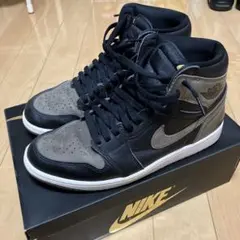 NIKE JORDAN1 Retro Ｈigh OG Palomino 28.5