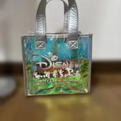 Disney 100 Years of Wonder バッグ