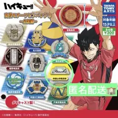 匿名配送　ハイキュー‼︎ 高校モチーフピンバッジ　3 全国編　井闥山学院高校