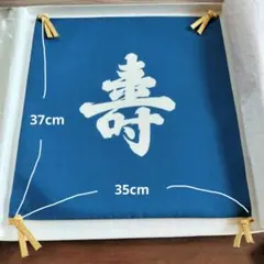 Item thumbnail for item 1b279374-7c38-4ad9-8a10-76bb1e36d3a9