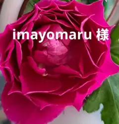 imayomaru様専用です。