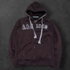 00s Y2K Abercrombie & Fitch 裏ボア フーディー