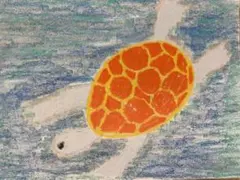 海亀を描いたオイルパステル画 海亀を描いたオイルパステル画 - メルカリ