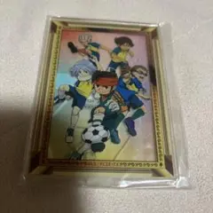 イナズマイレブン　雷門中